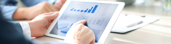 Consultoria e Coaching ERPs
