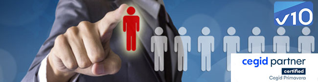 CRM - Primavera Executive