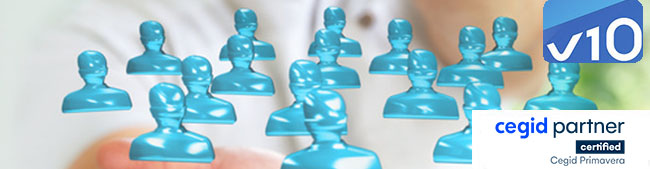 CRM - Primavera Professional