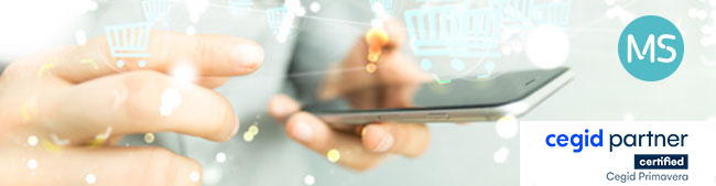 Primavera Mobile Business